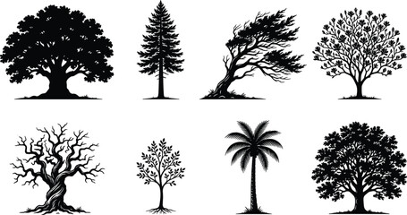 Detailed black tree silhouettes set featuring oak pine windblown cypress blooming magnolia bare winter branches sapling palm and maple icons © Gauranga