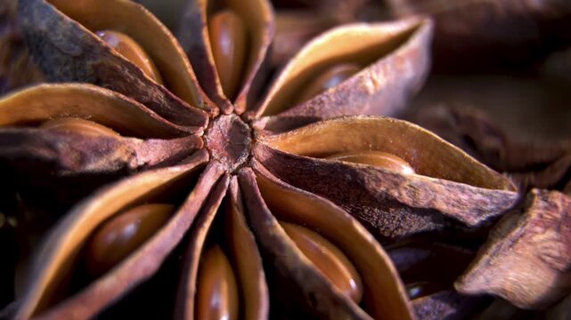 Star Anise (Illicium verum) macro. Botanical texture. Biological seed pod structure