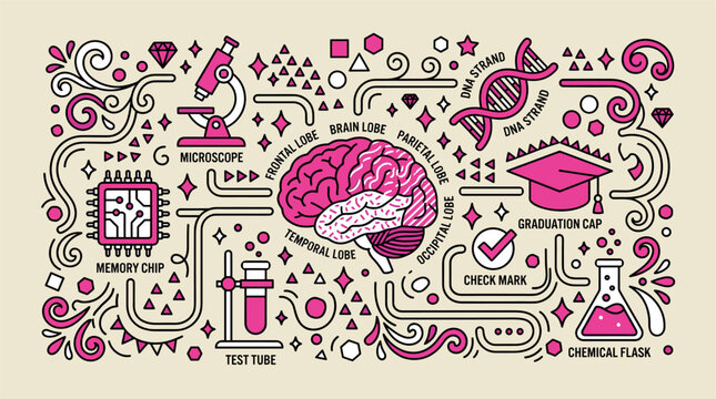 Science and education concept icons with brain, microscope and DNA strand for infographic design in decorative vector art