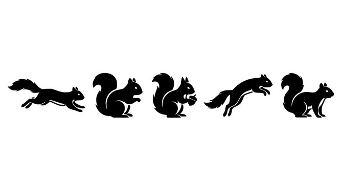 Black Squirrel Silhouette Collection Vector Wildlife Animal Set