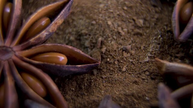 Star Anise (Illicium verum). Macro ground spice powder texture. Crushed botanical material. Natural ingredient macro texture