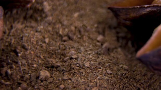 Ground Star Anise (Illicium verum). Dried herb powder for tea and baking. Natural ingredient macro texture. Wellness product background.