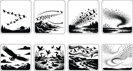 Bird Migration Scenes Black Silhouette Icon Set Featuring Murmuration, V Formation Flight, Wetland Habitats,  © SHEMA