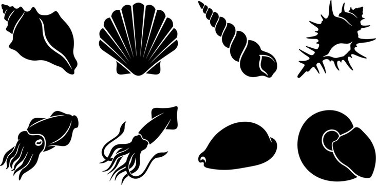 Sea shell and marine life silhouette vector set including scallop conch squid and nautilus icons