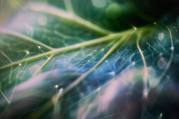 Green technology network integrated into natural plant environment with soft atmospheric light © Lumae Nord