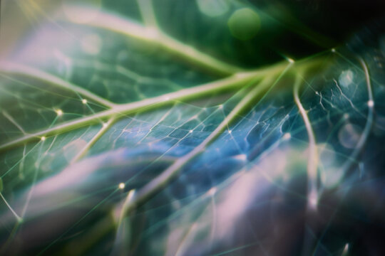Green technology network integrated into natural plant environment with soft atmospheric light