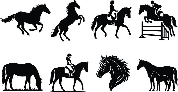 Black horse vector silhouettes set featuring wild stallion galloping, rearing horse, equestrian dressage rider, show jumping over hurdle,