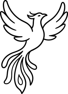 Elegant line art phoenix bird flying with spread wings and long tail, symbol of rebirth and immortality