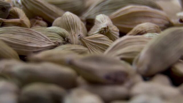 Cardamom Seeds (Elettaria cardamomum). Premium oriental perfumery raw material. Organic aromatherapy essential oil ingredient. Holistic healthcare background.