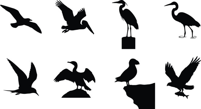 Coastal bird and marine wildlife silhouette vector set featuring seagull pelican heron cormorant puffin and fishing osprey hawkCoastal bird 
