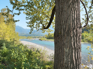 Fototapeta premium Chilliwack River as seen from the Vedder Rotary Trail North during a spring season in Chilliwack, Fraser Valley, British Columbia, Canada