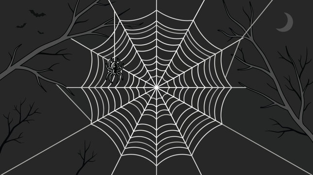 A spider sits in a large web on a dark spooky night with trees and bats.