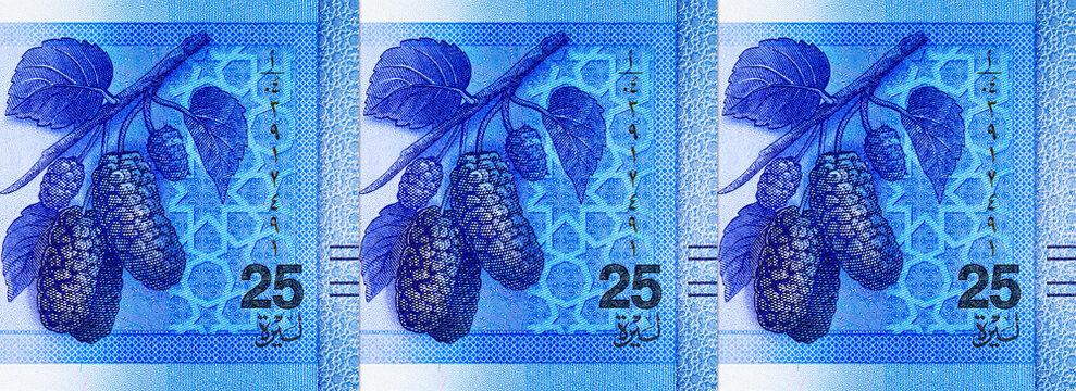 25 pounds Syrian banknote detailed engraving of a mulberry branch with berries and leaves. The new blue post-redenomination national currency of Syria.