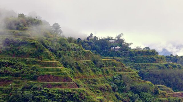 Morning fog covers the terraced rice paddies in the mountains near the town of Banaue Philippines.