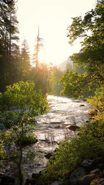 Beautiful morning shot of the sun shining on the Merced River as it runs through Yosemite National Park in California. Vertical video.