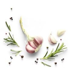 frame border Fresh green organic rosemary leaves and garlic isolated on white background. Transparent background and natural transparent shadow  Ingredient, spice for cooking. collection for design © Konstiantyn