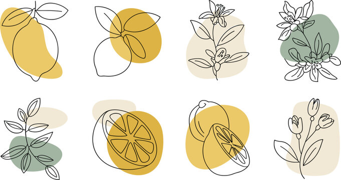 PrintMinimalist Botanical Lemon and Citrus Line Art Icon Set with Abstract Pastel Shapes for Cosmetic Branding Logo and Organic Packaging Designs
