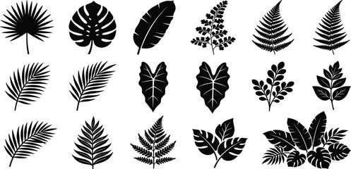 Tropical Leaf Silhouette Collection Featuring Palm Fronds, Monstera, Ferns, Botanical Foliage and Exotic Nature Design Elements © Mimi