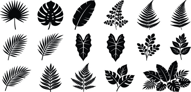Tropical Leaf Silhouette Collection Featuring Palm Fronds, Monstera, Ferns, Botanical Foliage and Exotic Nature Design Elements