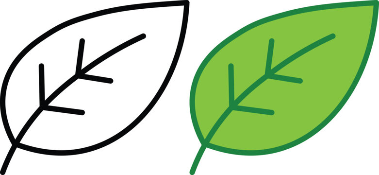 Two contrasting leaves, monochrome and green, side-by-side leaf lineart
