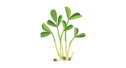 Green pea sprouts with roots and tendrils a flat vector illustration silhouette seedlings plants foliage leaves stem tendrils growth vegetation © Creativeakash393