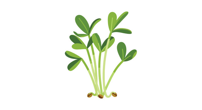 Vector illustration of young pea plants with seed pods and roots green tones flat design silhouette seedling sprout foliage leaves