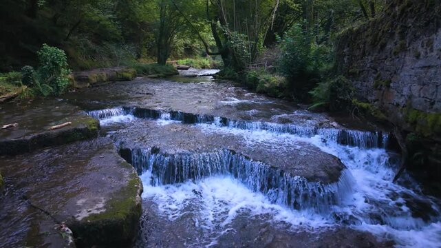Landscape along a river near San Pedro del Romeral. Pas-Miera region. Pasiegos Valleys. Cantabria. Spain. Europe