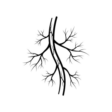 Black and White Vector Illustration of Human Veins or Tree Roots