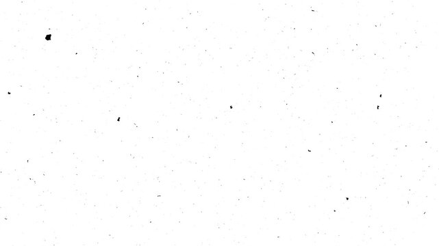 Noice Grain Background Animation HD, old noice animation on a white background. HD resolution with hyper realistic 4K white Background. Noice effect motion graphics clip template.