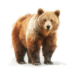Fototapeta premium Bear watercolor vector illustration, high-quality artwork isolated on a pure white background.
