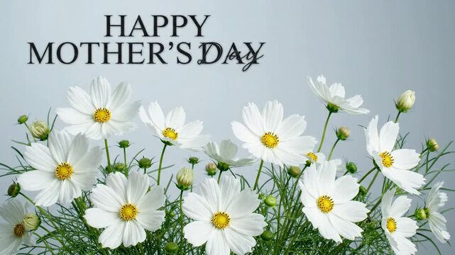 Happy mother&rsquo;s day greeting with white cosmos flowers and soft motion background, mother's day floral