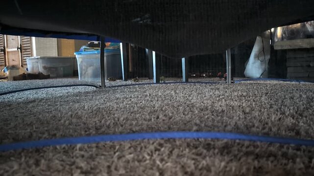 Video of the underside of a trampoline showing the dangers of the base impacting.