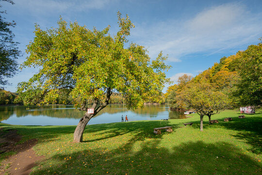View of Pocuvadlo Lake with autumn trees, a grassy bank, and people walking by the water in Banska Stiavnica, Banskobystricky kraj, Slovakia.