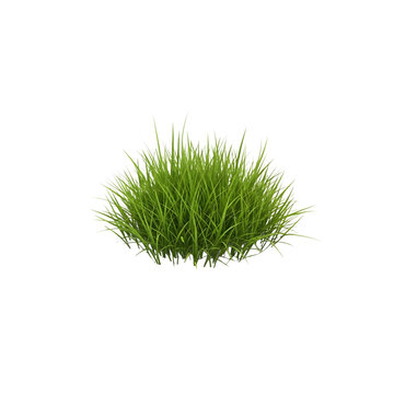 Small patch of green grass texture isolated on transparent background