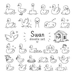 Obraz premium Swan doodles set. Hand drawn vector doodle set on white background