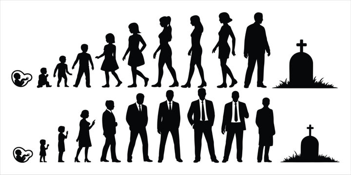Human life cycle from birth to death with male and female silhouettes Keywords: human life cycle, birth, childhood, adolescence, adulthood