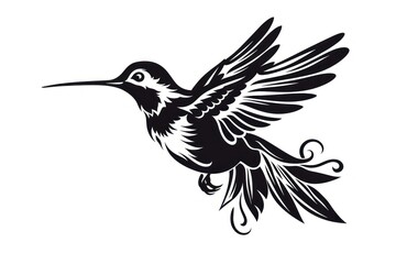 Fototapeta premium Hummingbird animal white woodpecker.
