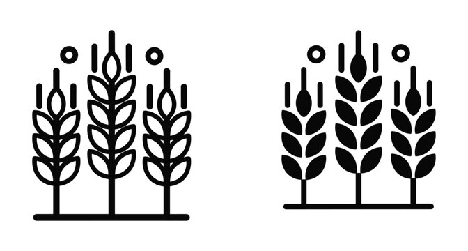 Wheat grain icon set featuring outline and solid glyph styles for agriculture farming cereal harvest organic food and bakery design