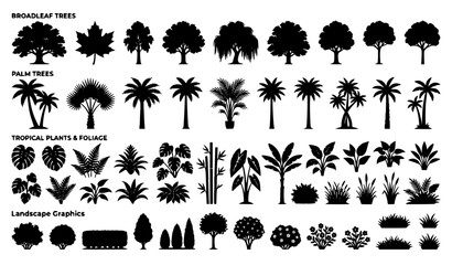 Palm tree and broadleaf foliage silhouette vector set landscape nature graphics isolated on white © Md