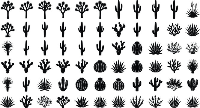 Cactus and succulent plant silhouette icons set for desert landscape design and botanical graphic element collection