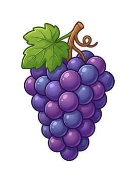Colorful cluster of fresh grapes with green leaf.