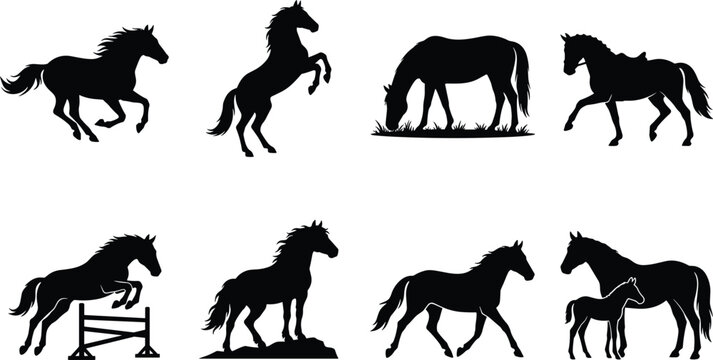 Horse silhouette vector set featuring running rearing grazing show jumping trotting stallions mares and mare with foal