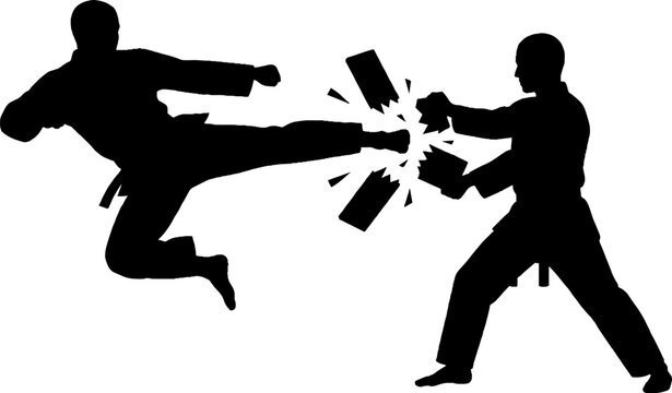 Silhouette of martial artists in dynamic combat pose.