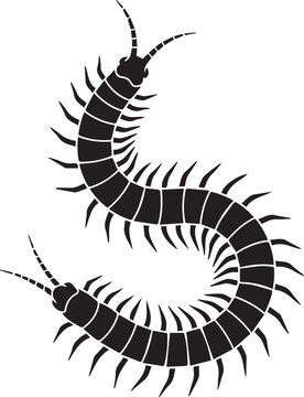 S-Shape Curved Centipede with Segmented Body and Spiky Legs, Bold Silhouette black and white vector illustration
