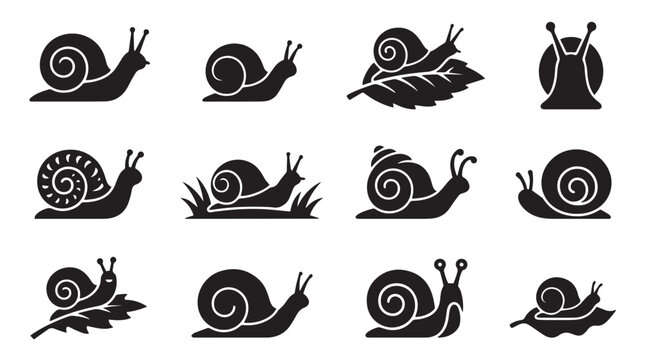 Snail silhouette icons set. Vector black gastropod symbols on white background. Slow garden animal signs