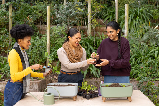 Diverse female friends potting seedlings together at backyard garden table with raised planters