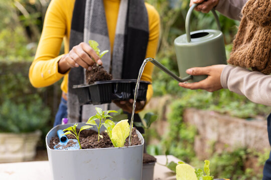 African American women planting and watering seedlings at garden table with watering can and tray