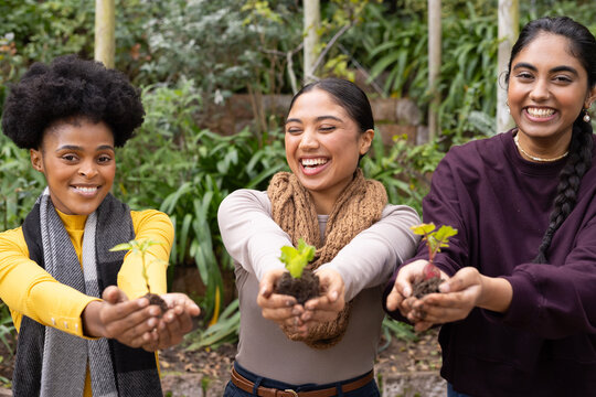 Diverse women volunteers holding seedlings with roots and soil, laughing in community garden