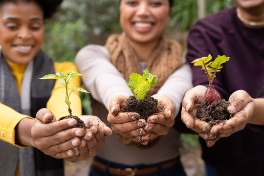 Diverse female volunteers holding seedlings and showing soil-covered hands at community garden