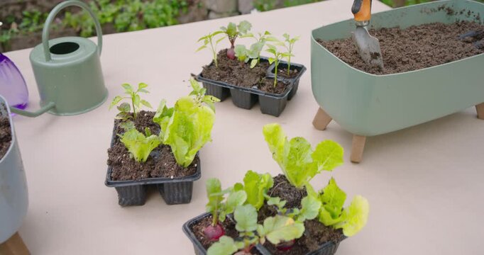 Trowel entering frame is scooping soil into pale green planter on tabletop for transplanting trays